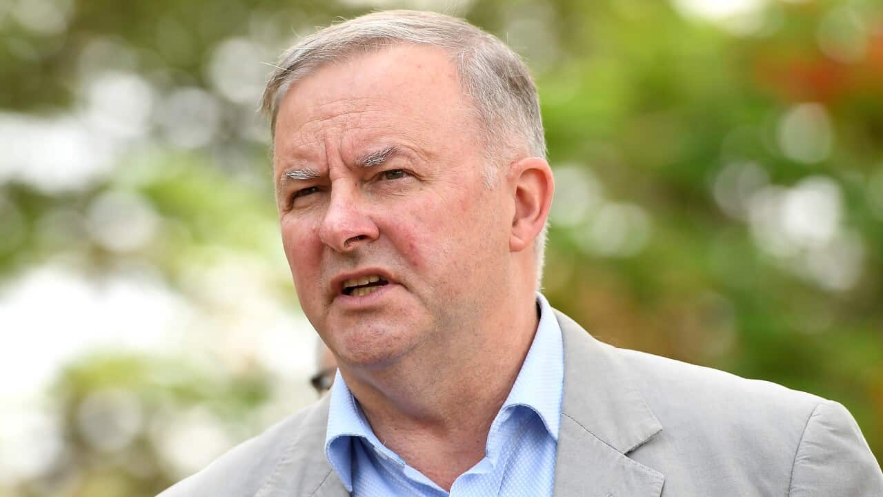 Labor leader Anthony Albanese