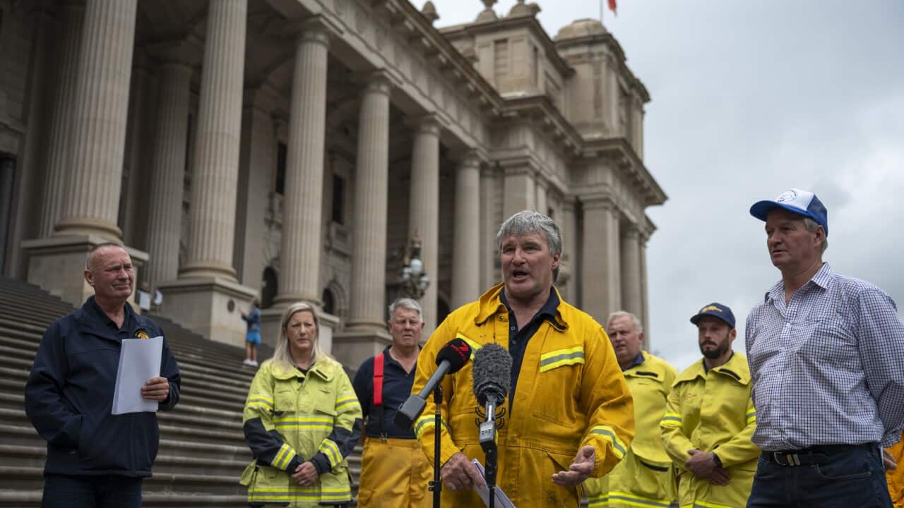 FIREFIGHTERS CALL FOR PARLIAMENTARY INQUIRY