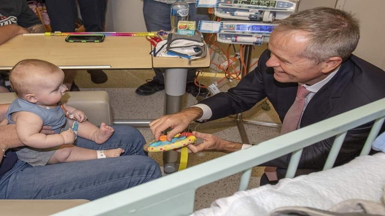 Opposition Leader Bill Shorten at Royal Children's Hospital, Melbourne