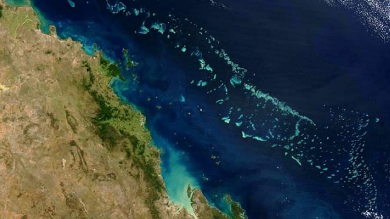 reef_nasa_view.jpg