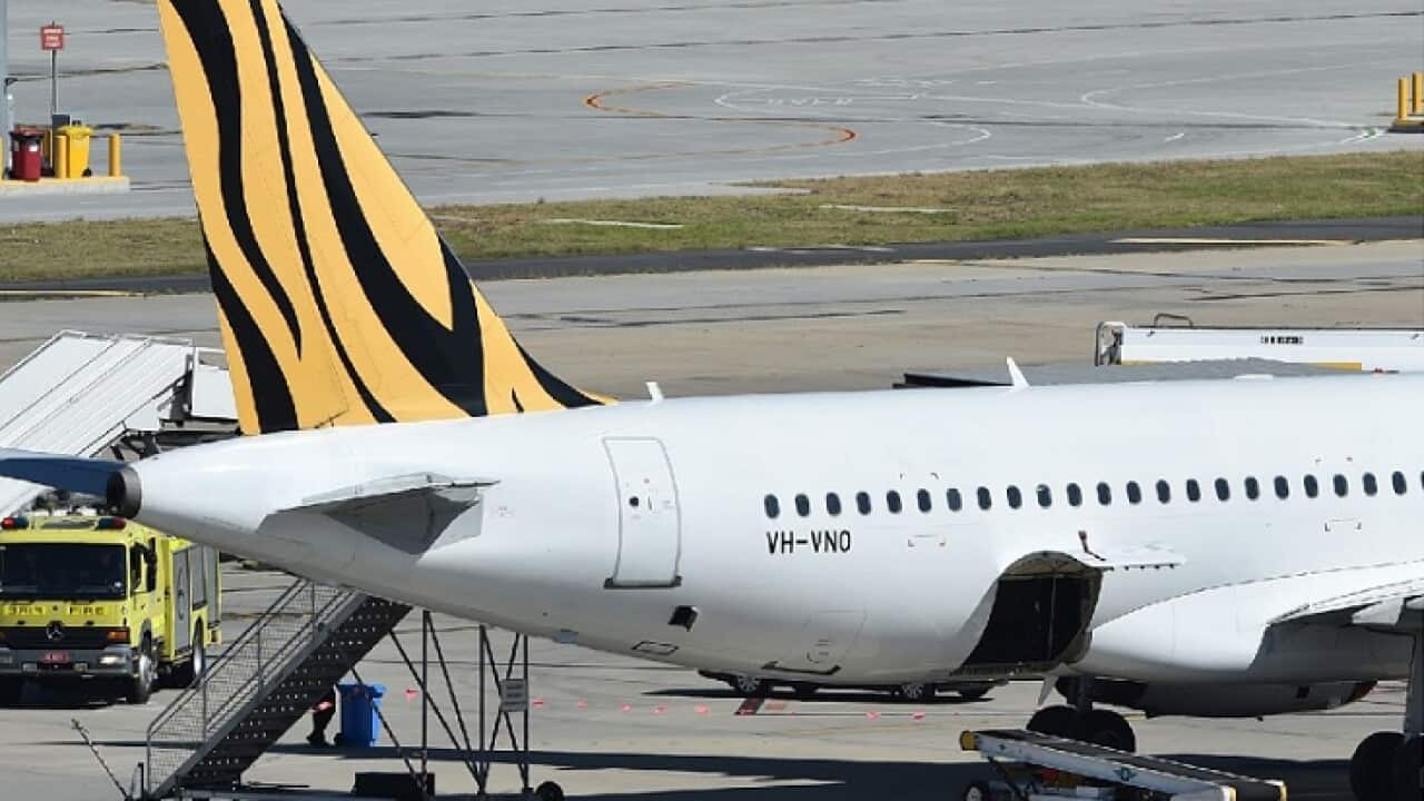 tiger air corona