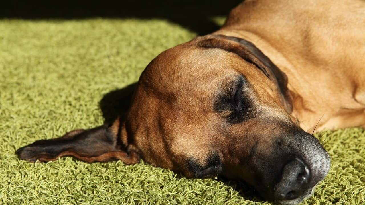 Image for read more article '相關新聞'