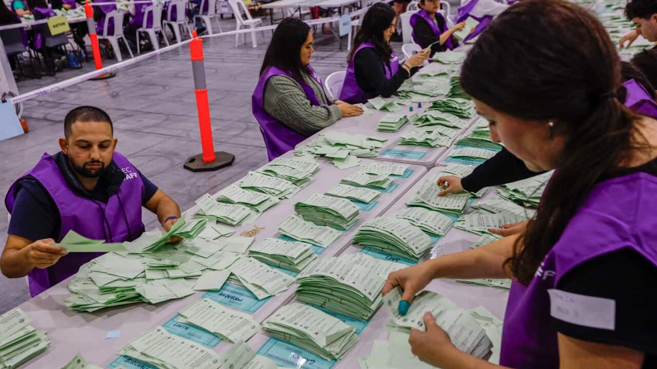 Vote Counting in Melbourne - 3 May 2025