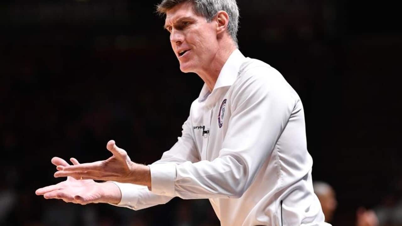 NBL 36ERS TAIPANS KELLY