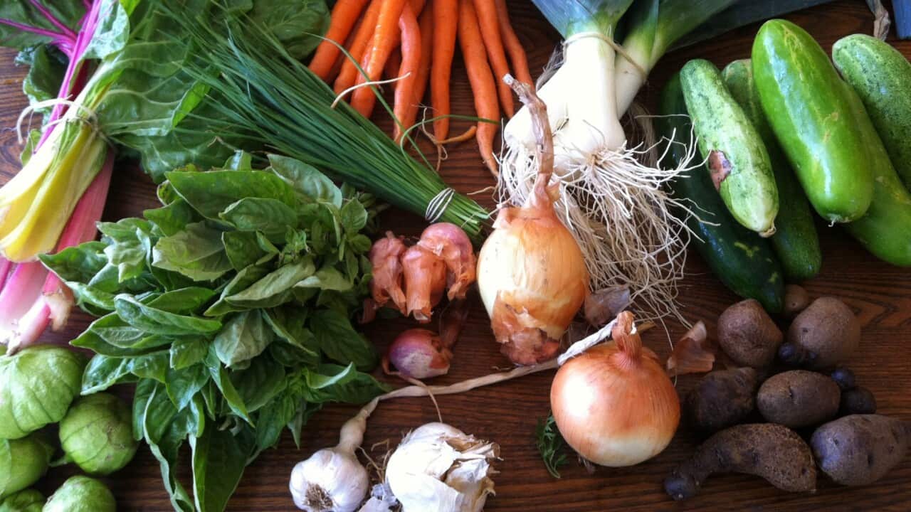 Leek, onions and garlic