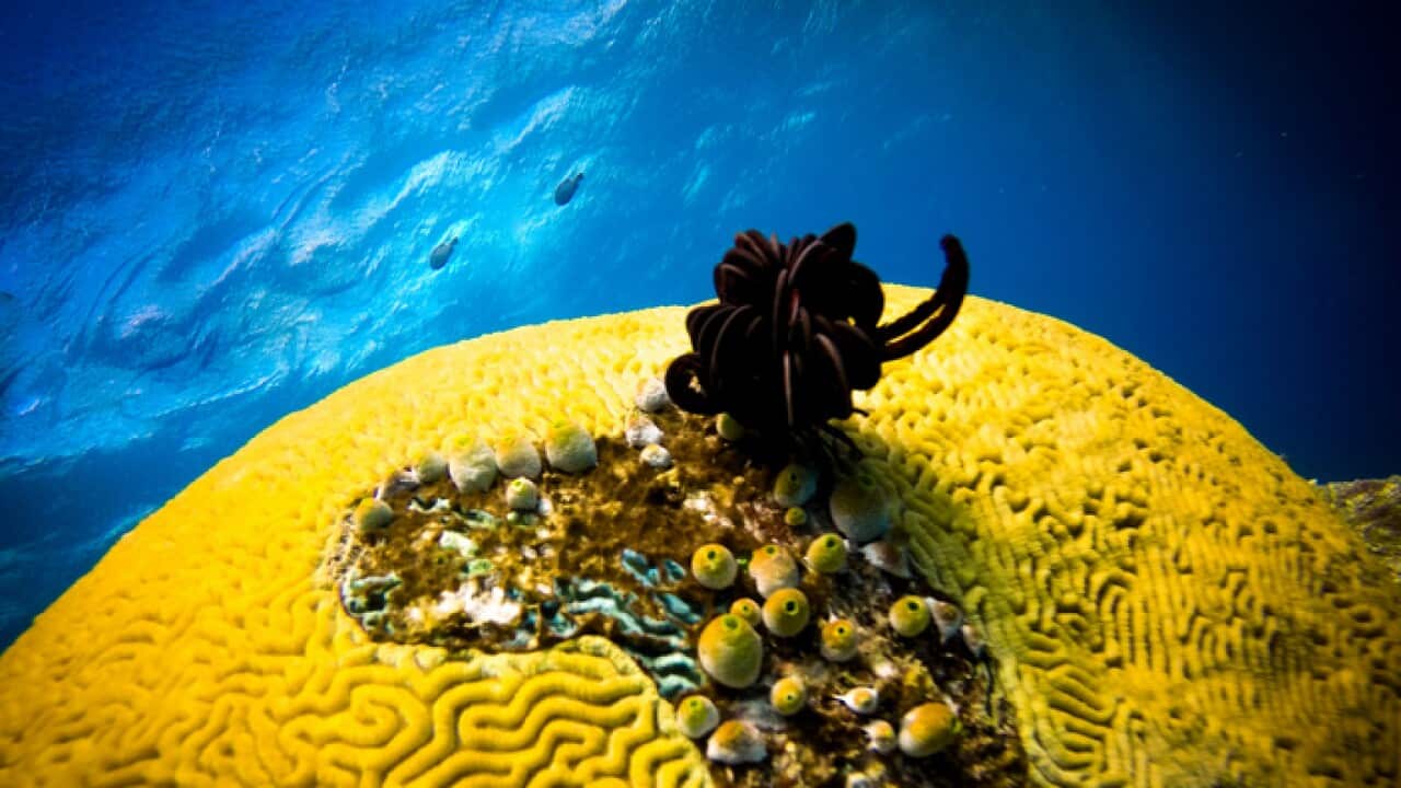 Great Barrier Reef
