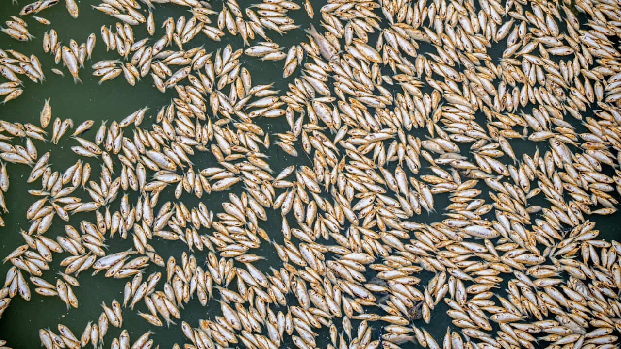 Image for read more article 'READ MORE'