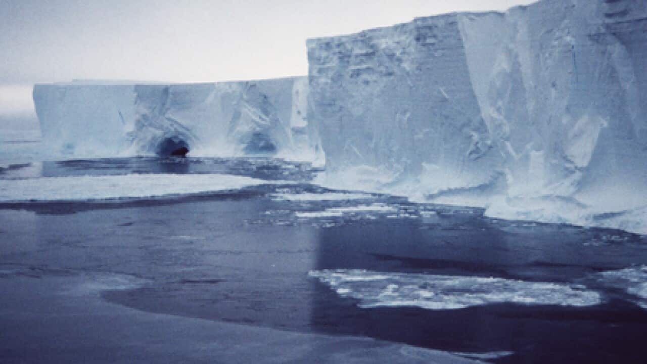 iceberg_mertzglacier_b_200210_ausantarcticdivision_937924040