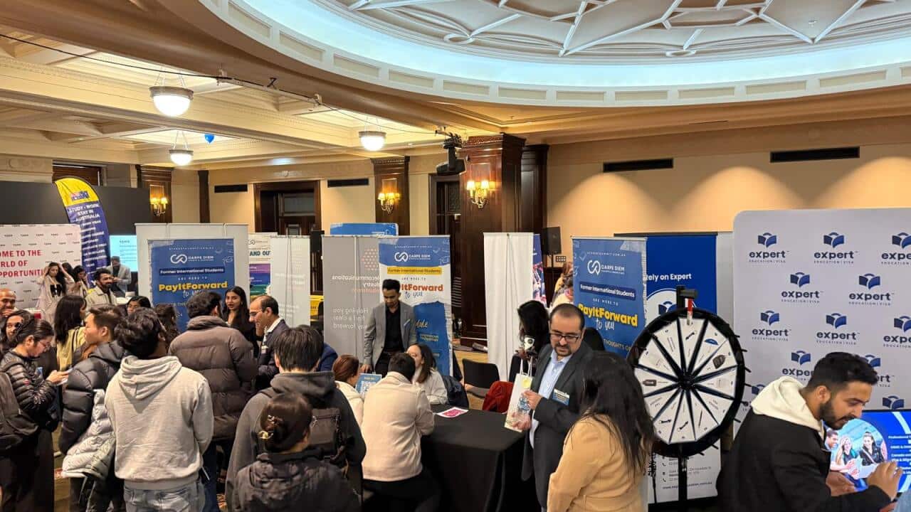 Image for read more article 'READ MORE'