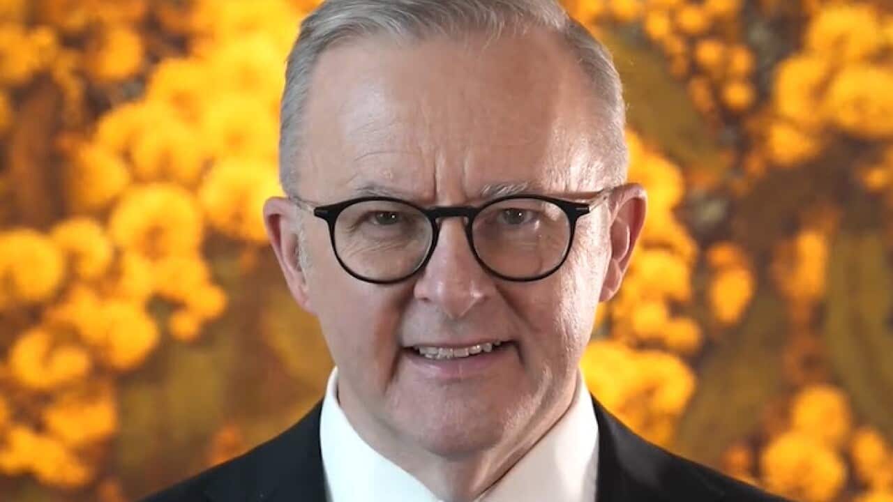 Albo Easter greeting.jpg