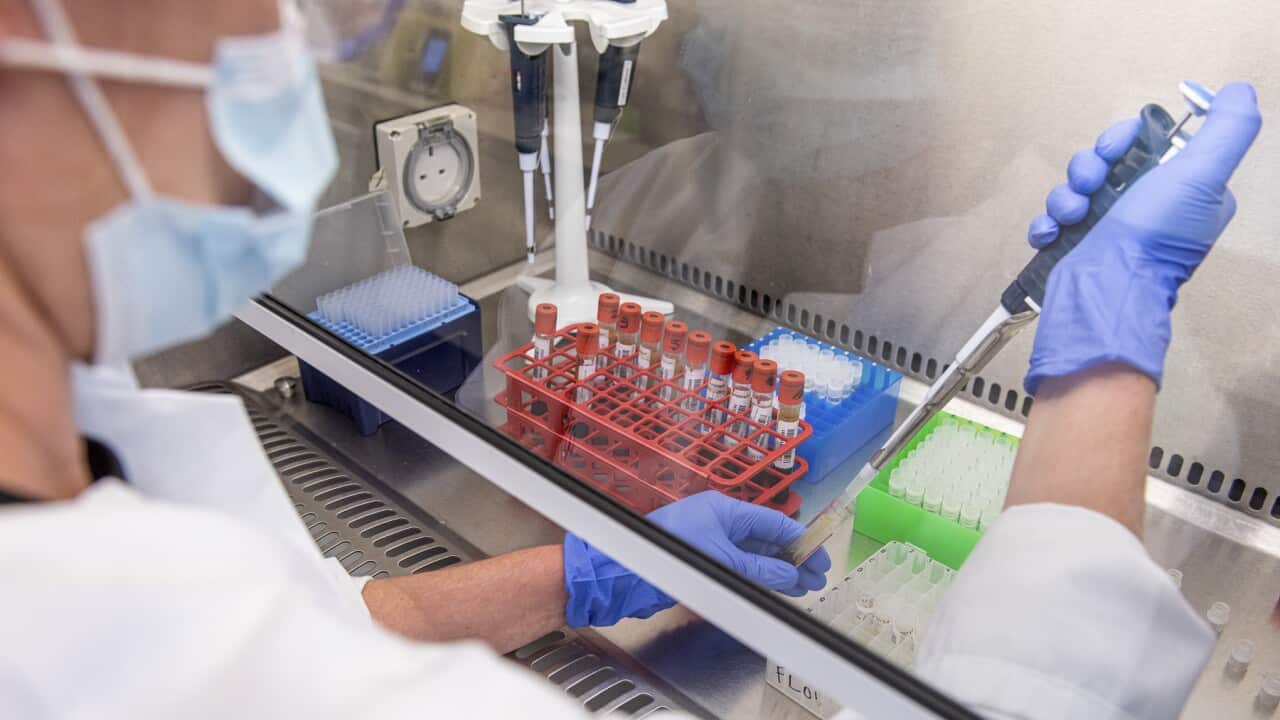 Vaccine Trials