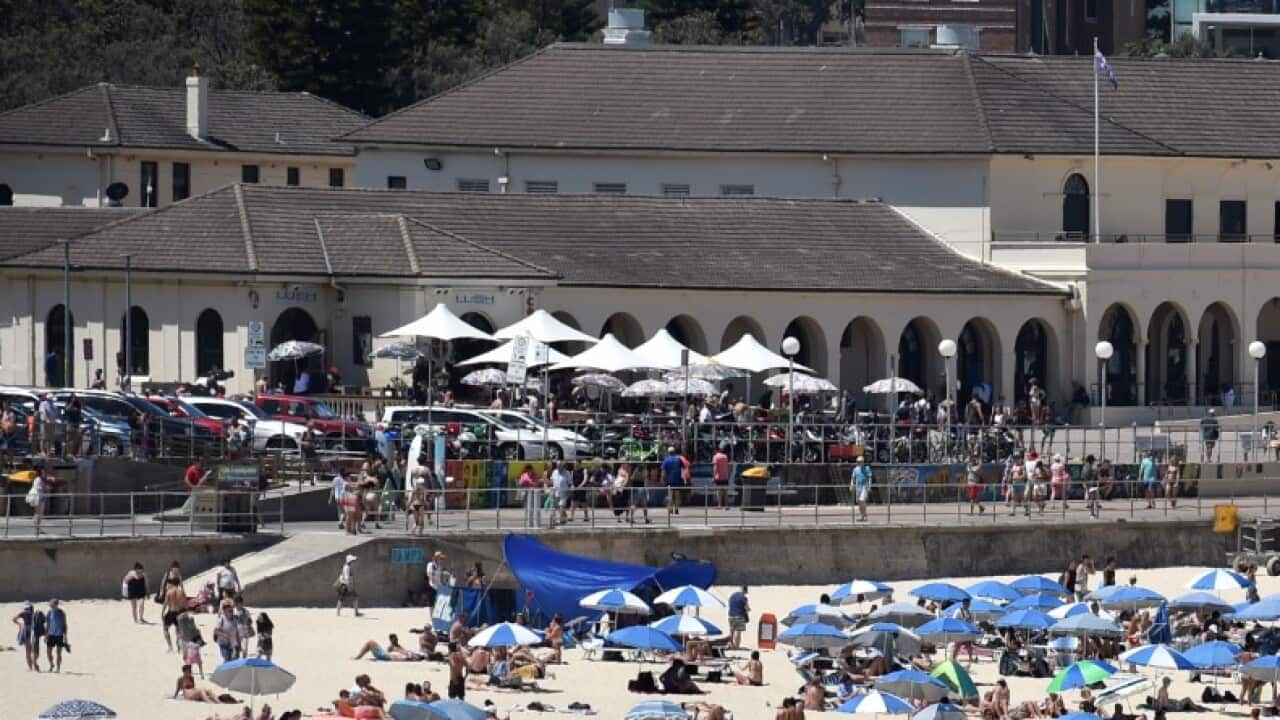 Image for read more article 'READ MORE'