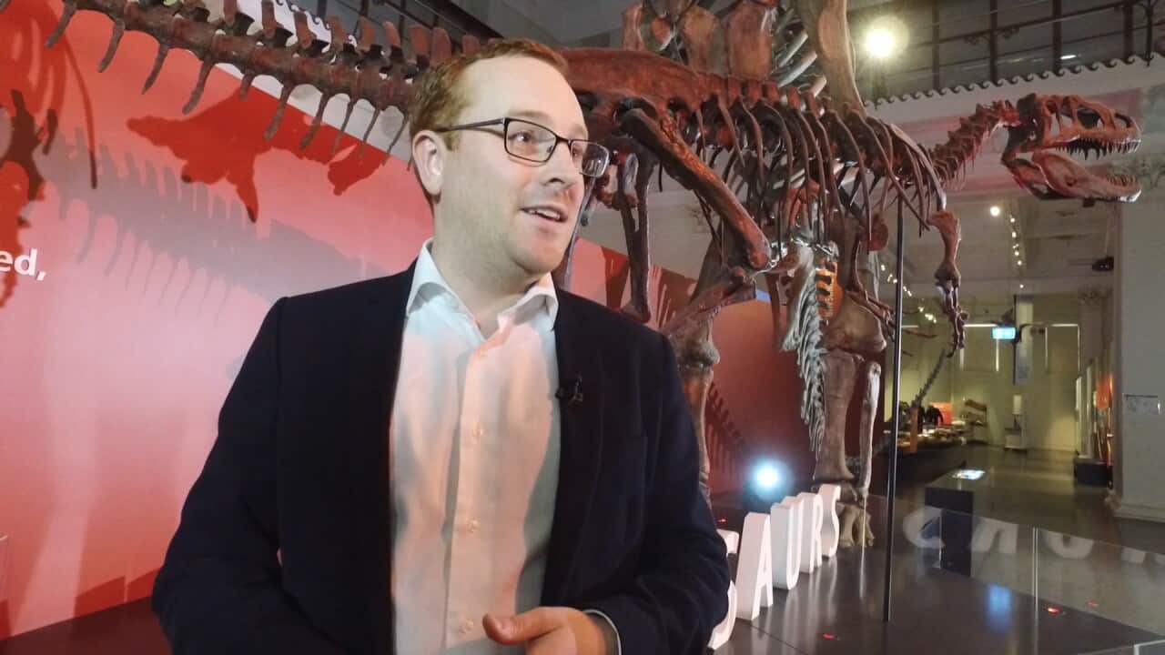 Image for read more article 'Related Reading'