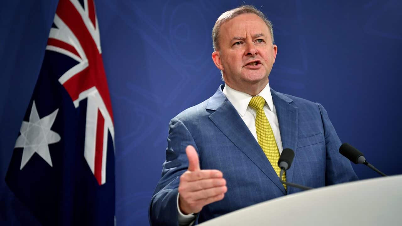 Labor leader Anthony Albanese.