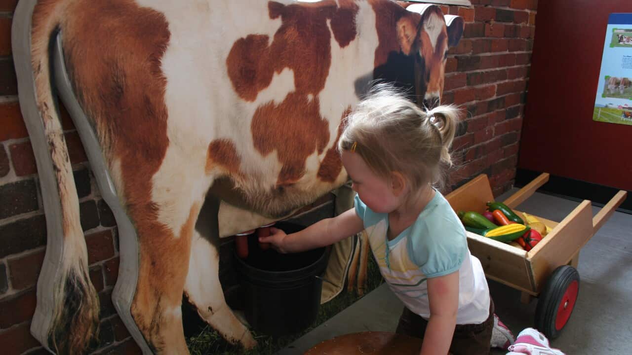 Image for read more article ''