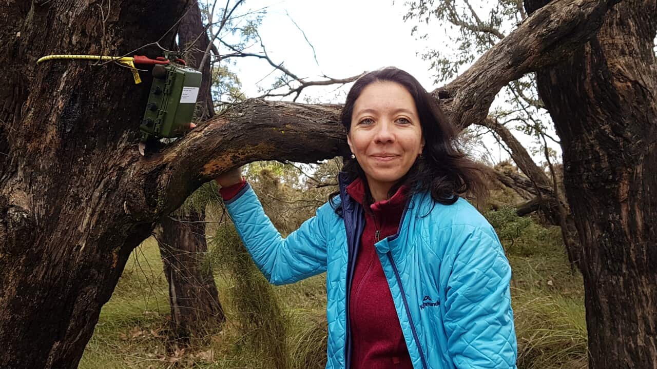 Image for read more article 'Más información:'