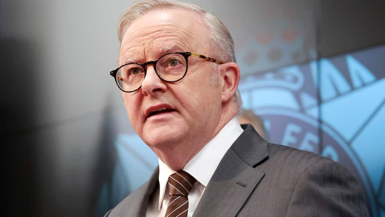 AFP BONDI TERROR INVESTIGATION