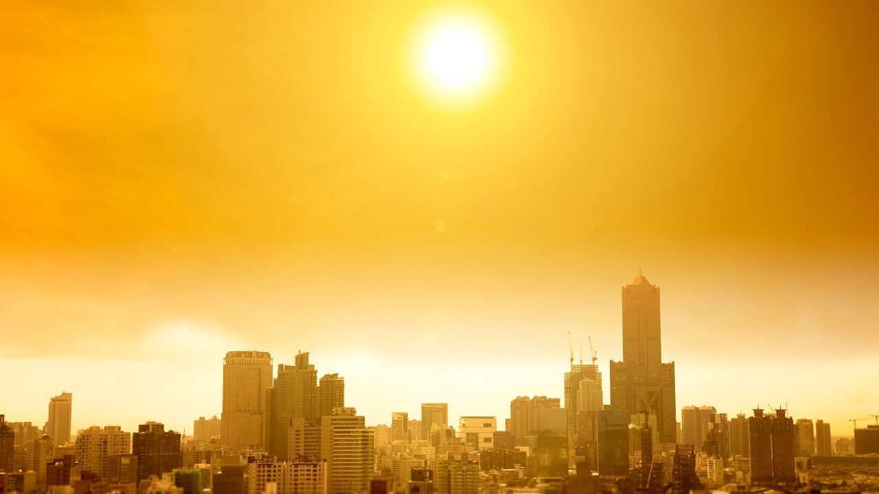 Summers are set to get hotter in many cities.