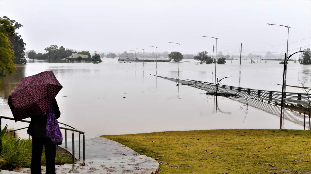 Members of the public look on as the Windsor Bridge is submerged under floodwater from the swollen Hawkesbury River, Windsor, north west Sydney, July 6, 2022.