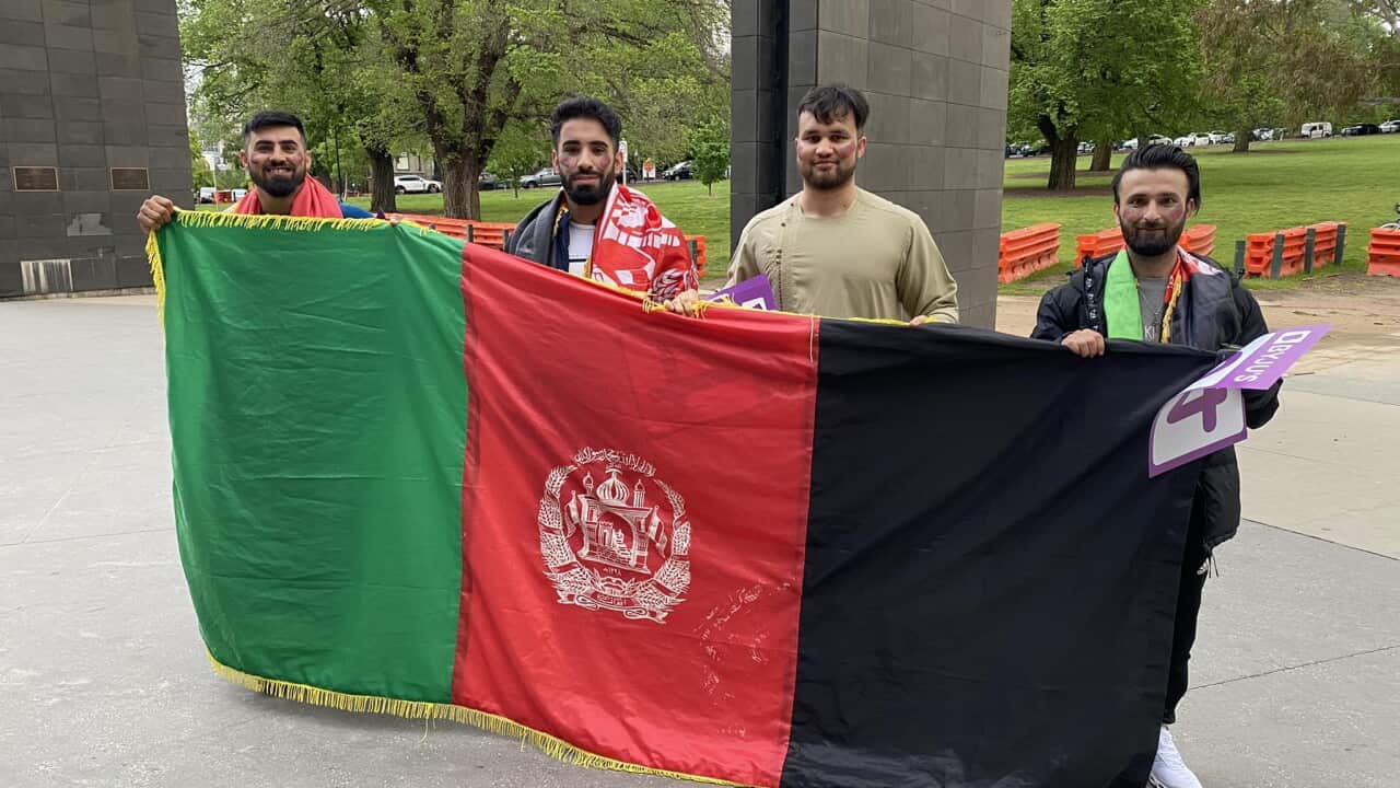 Afghan cricket fans in Melbourne