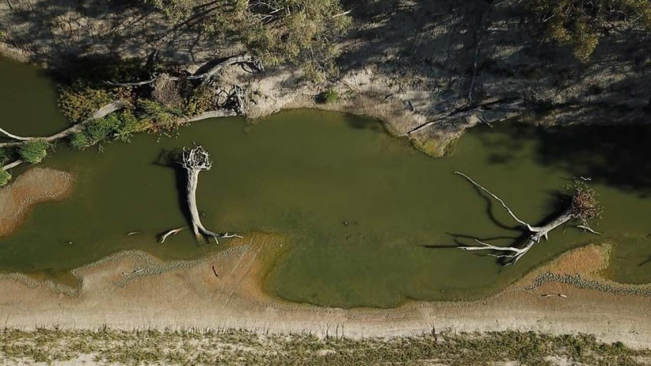 Image for read more article 'READ MORE'