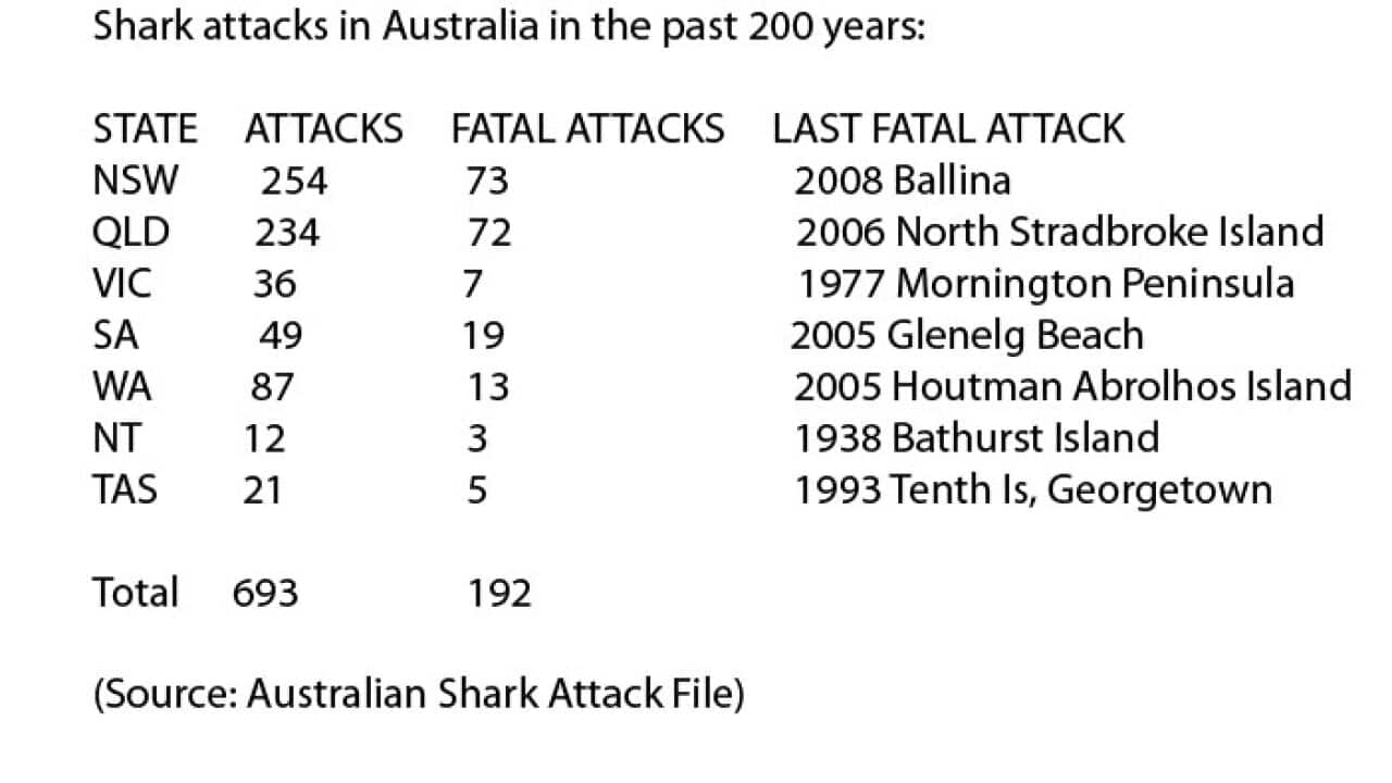 shark attack data