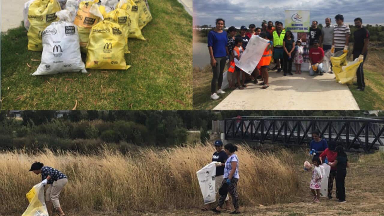 Clean Up Australia Day