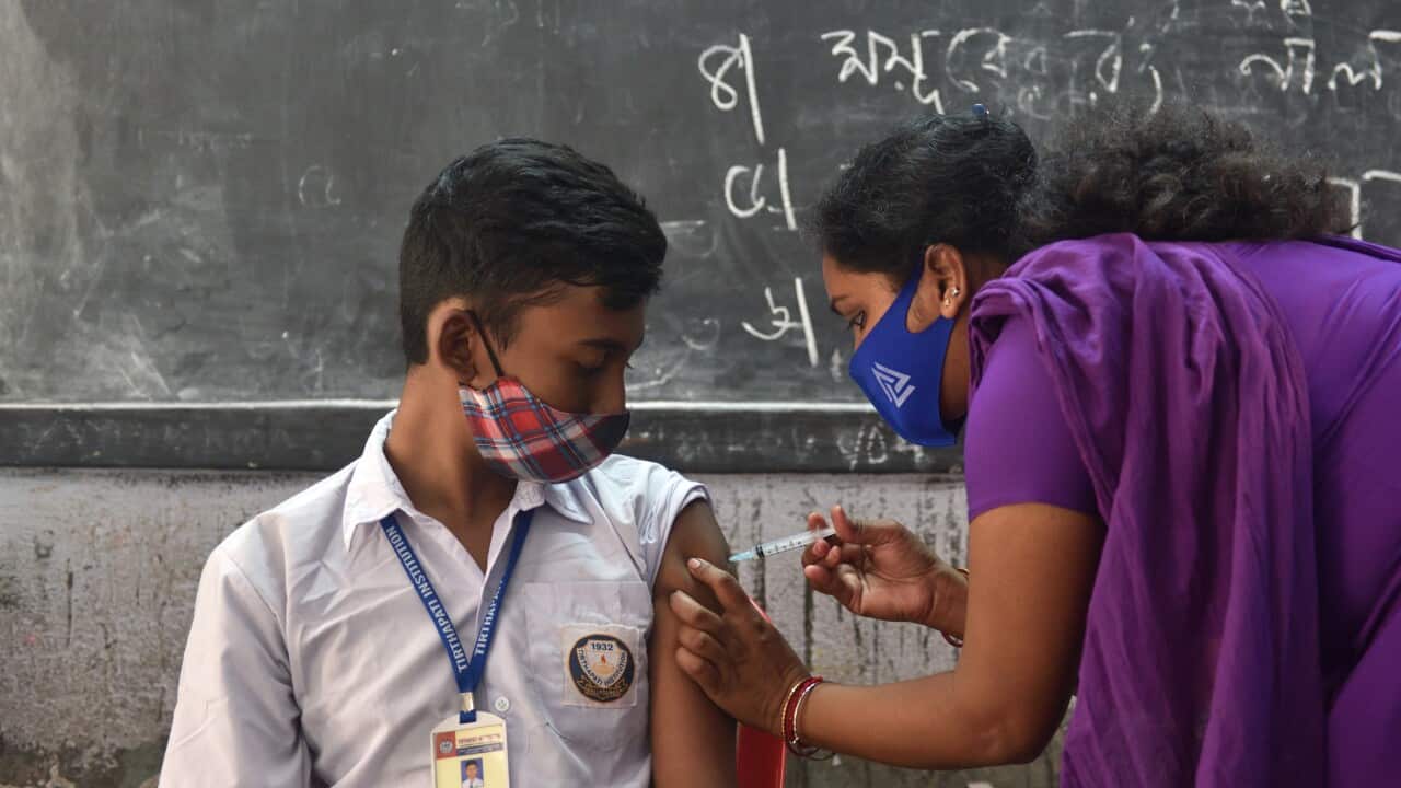 The Covid-19 vaccination for children in the age group of 12-14 years uses the Corbevax vaccine.