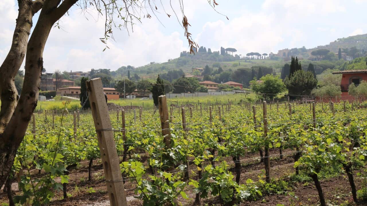 Image for read more article 'LEGGI ANCHE'