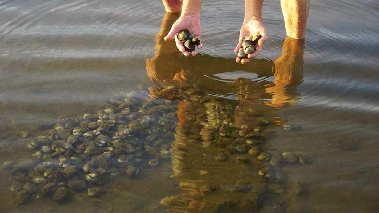 Image for read more article 'READ MORE'