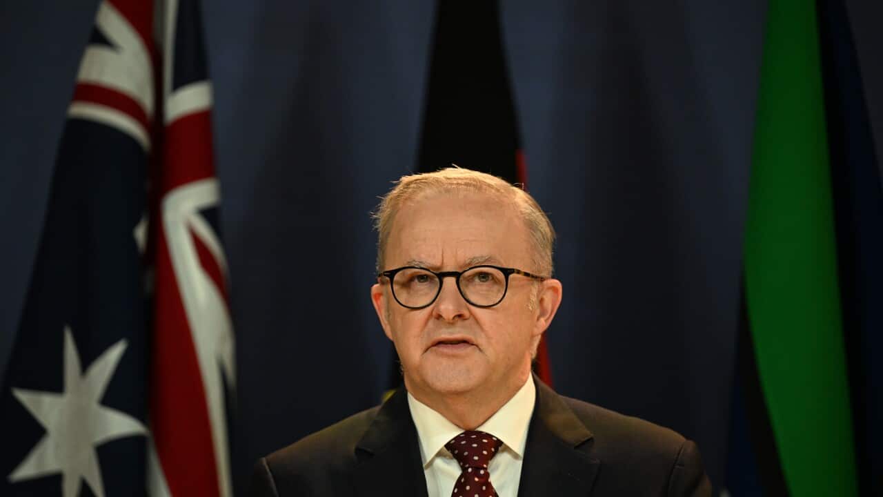 ANTHONY ALBANESE PRESSER