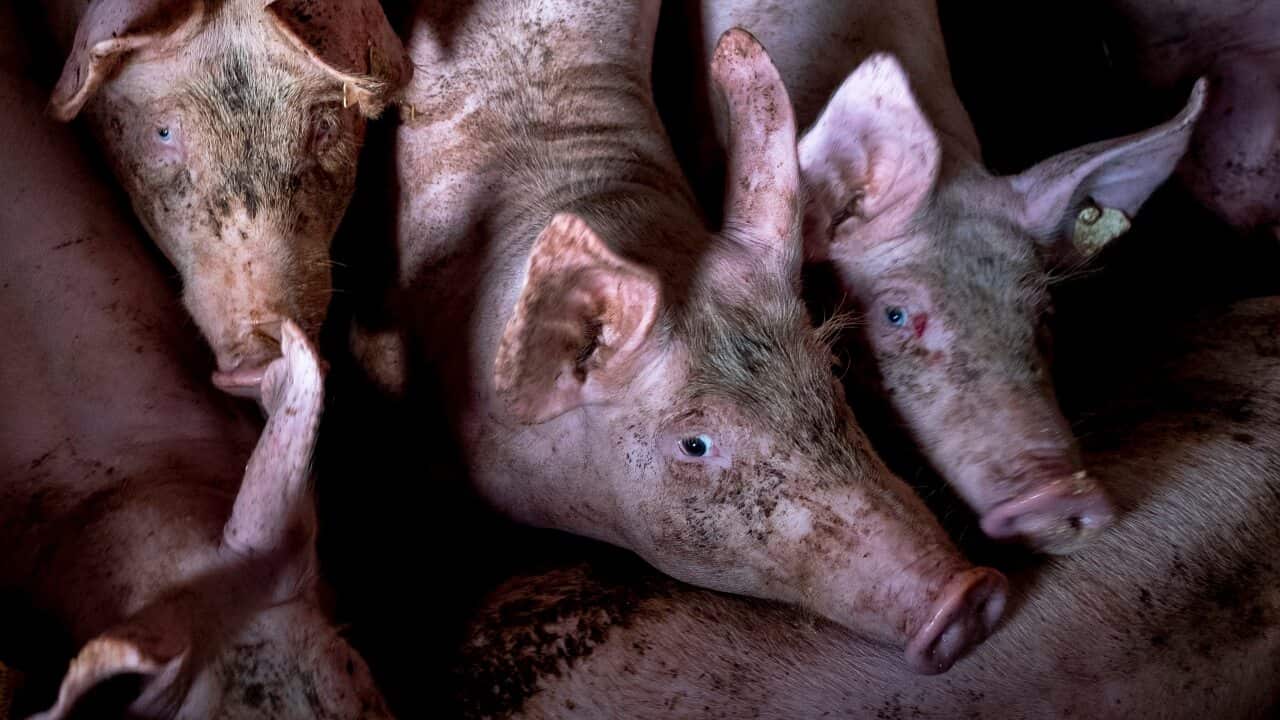 Image for read more article ''