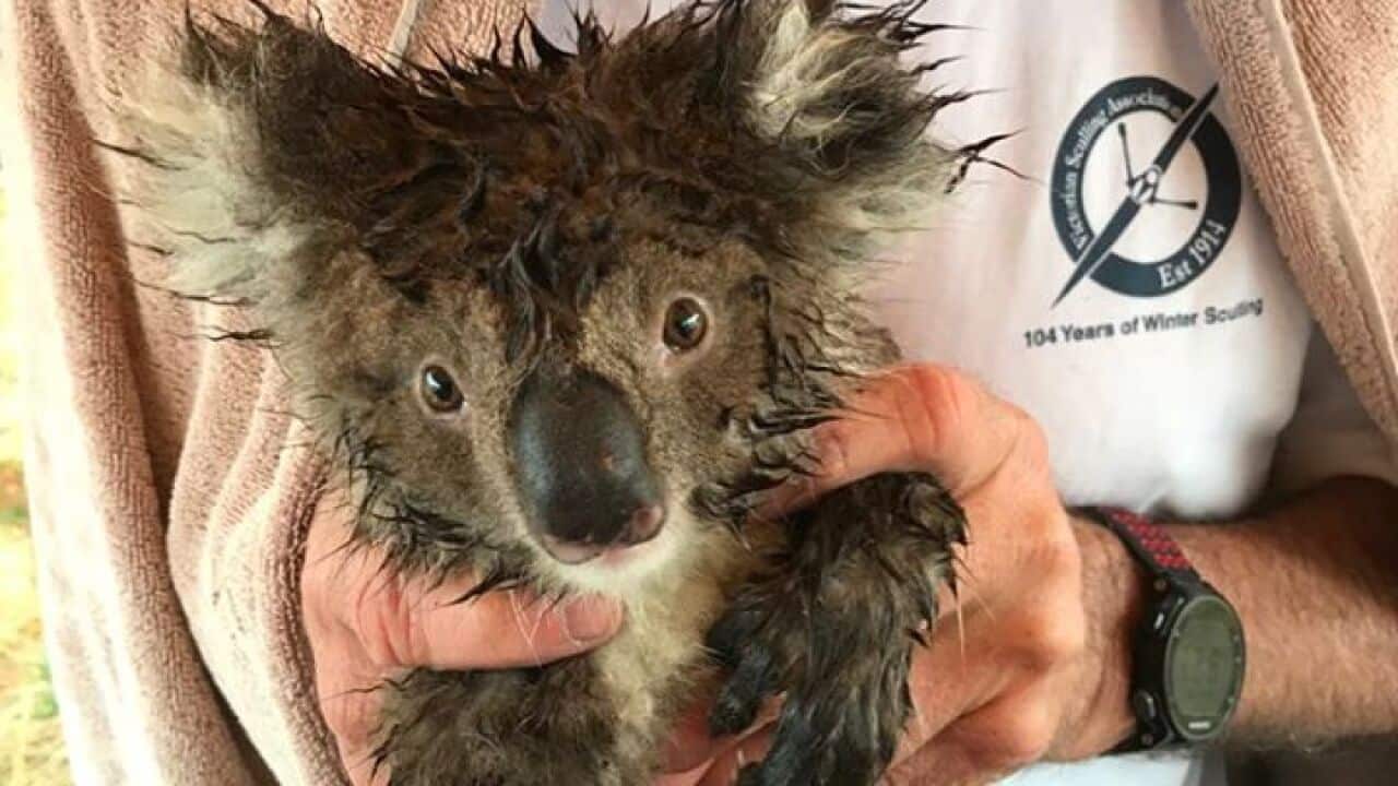 Image for read more article ''