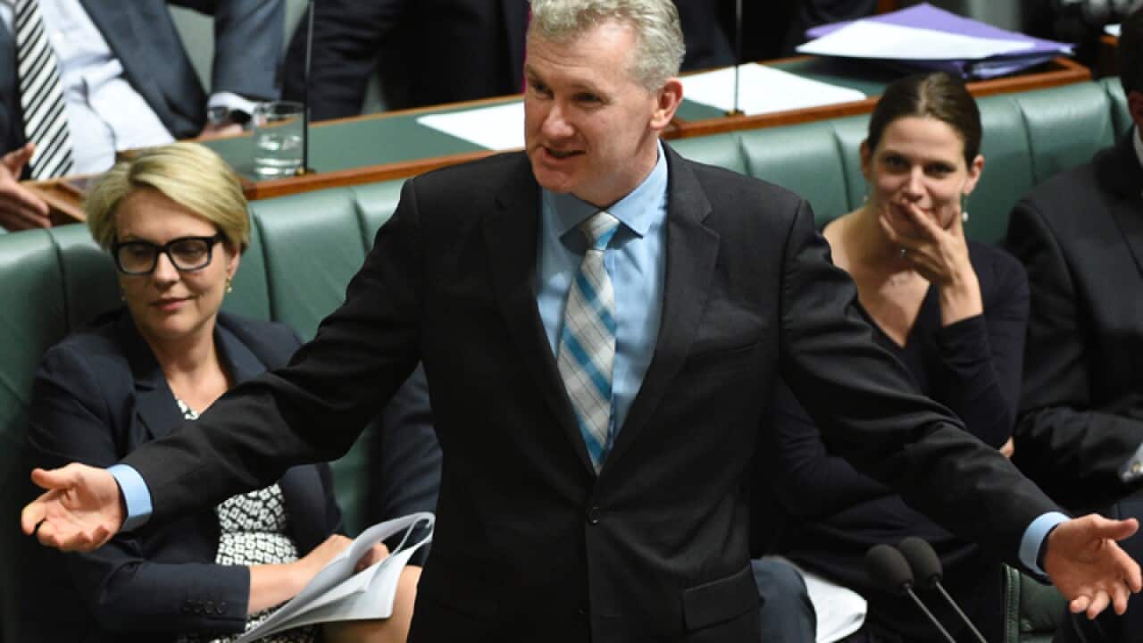 Federal Labor Shadow Minister for Finance Tony Burke
