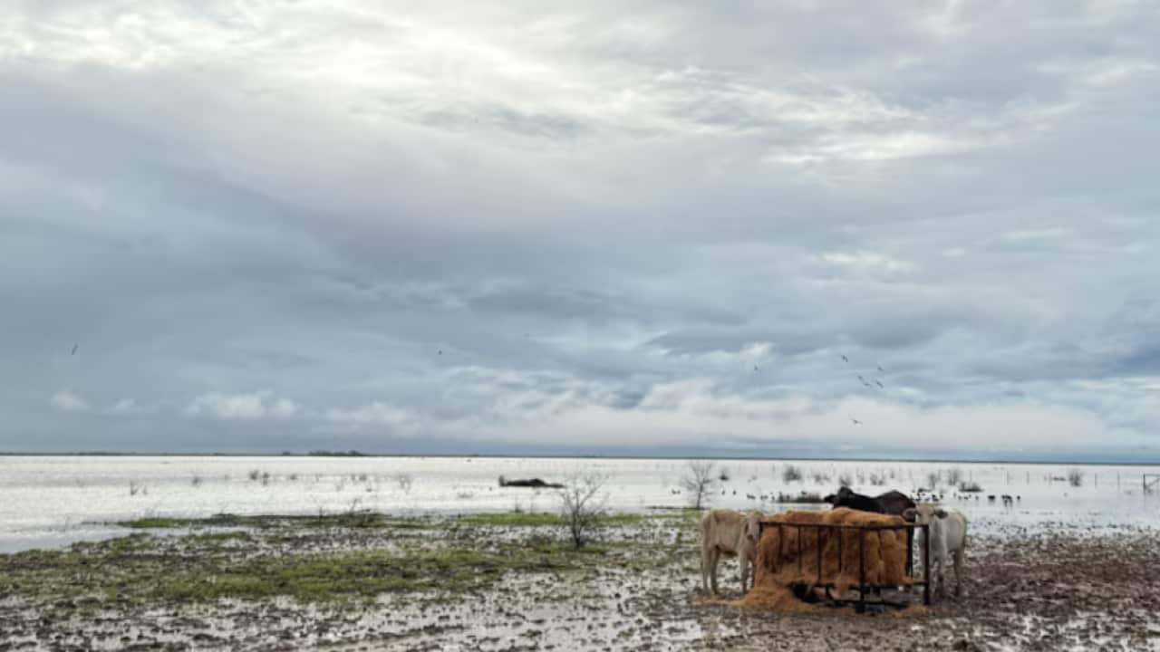 Flood north-west Queensland.png