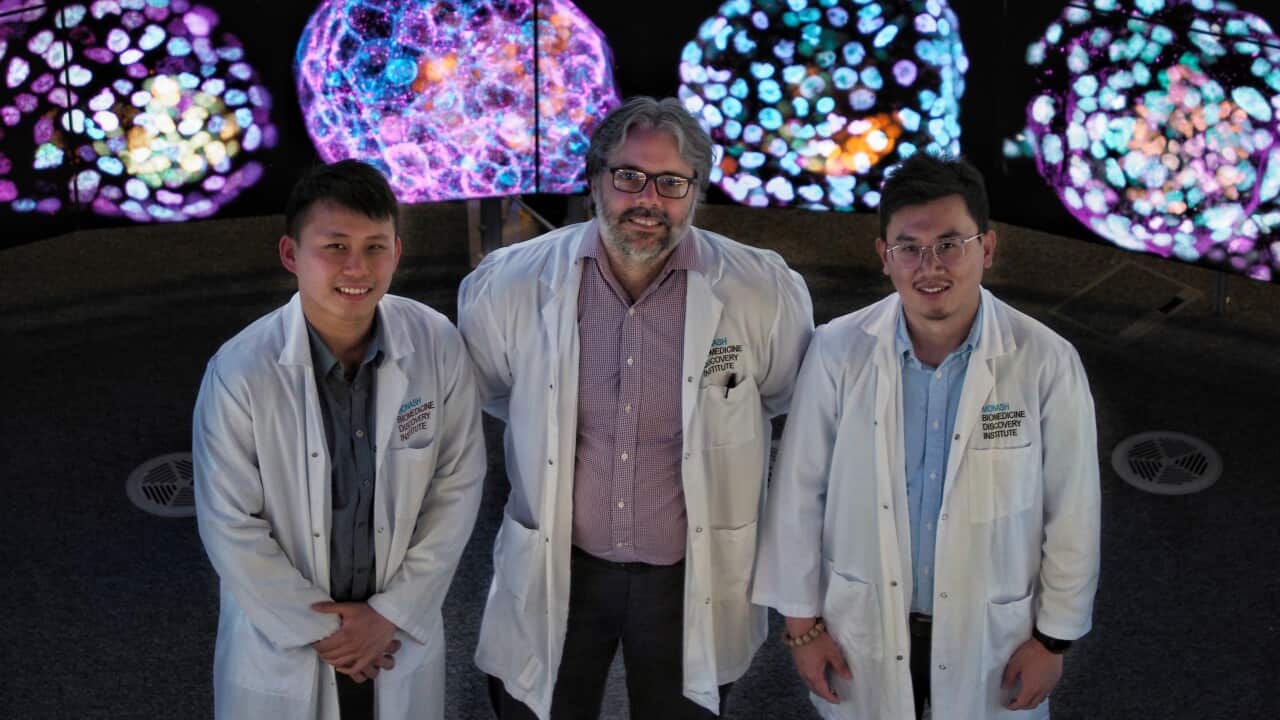 Image for read more article ''