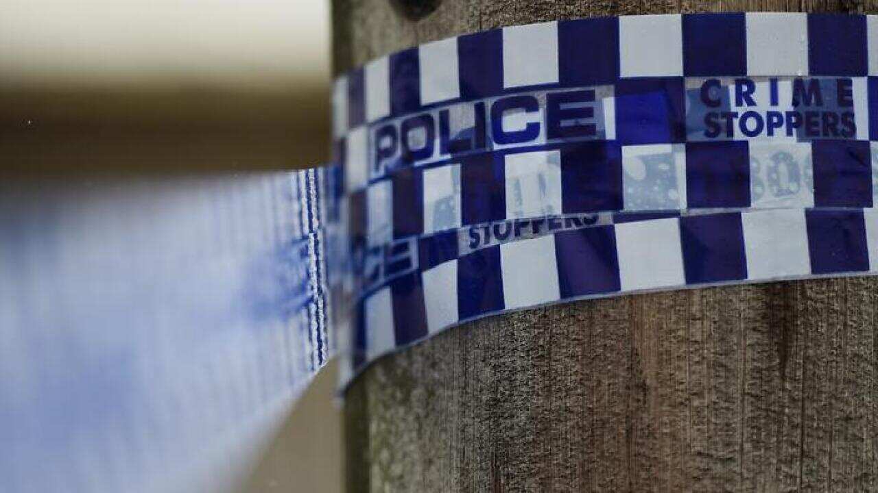 Police Violence Safety