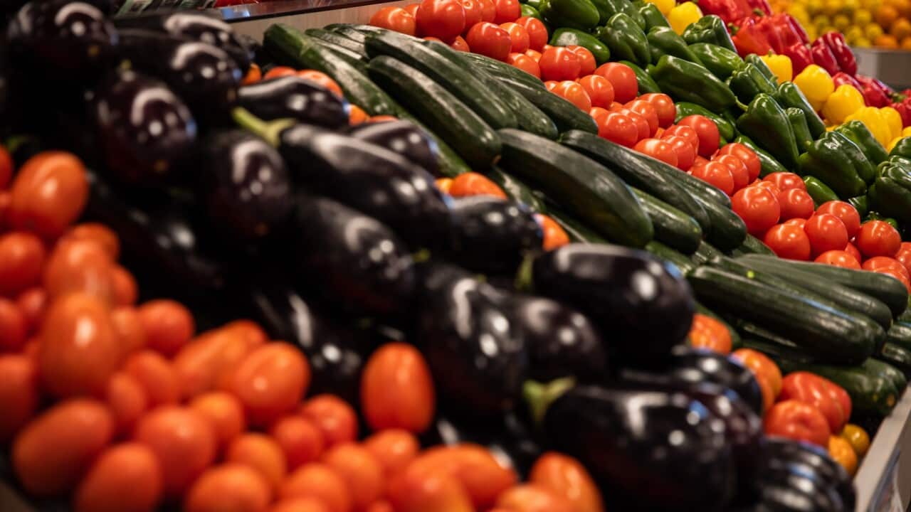 FRESH FOOD STOCK