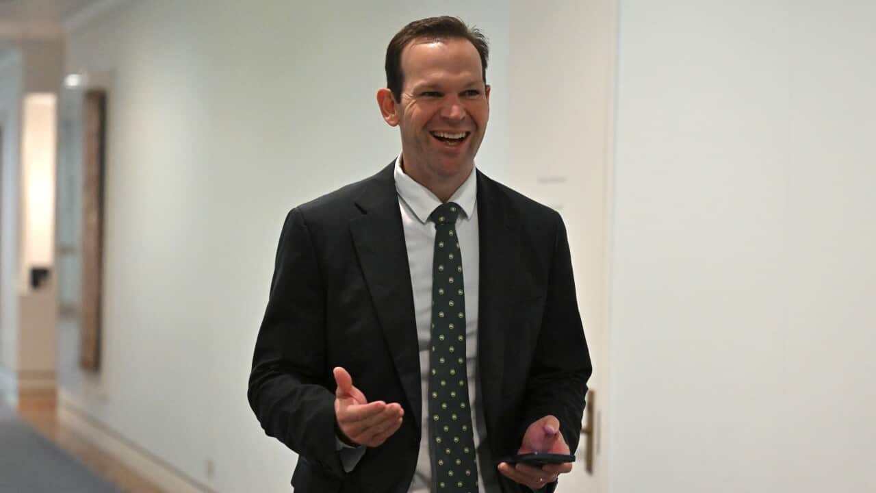 MATT CANAVAN PARLIAMENT