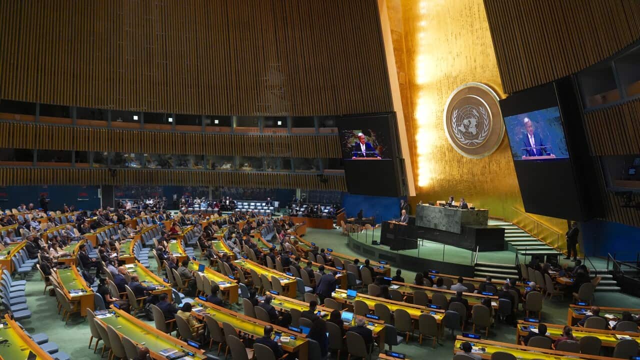 A wide-angle view of the United Nations General Assembly Hall shows a large group of people seated in curved rows, with an ornate, golden wall and two large video screens in the background. A speaker is visible at a podium on a raised stage, with his image displayed on the screens.