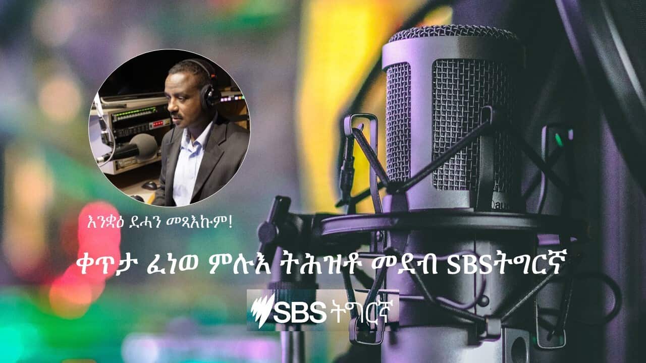 Live podcast SBS Tigrinya