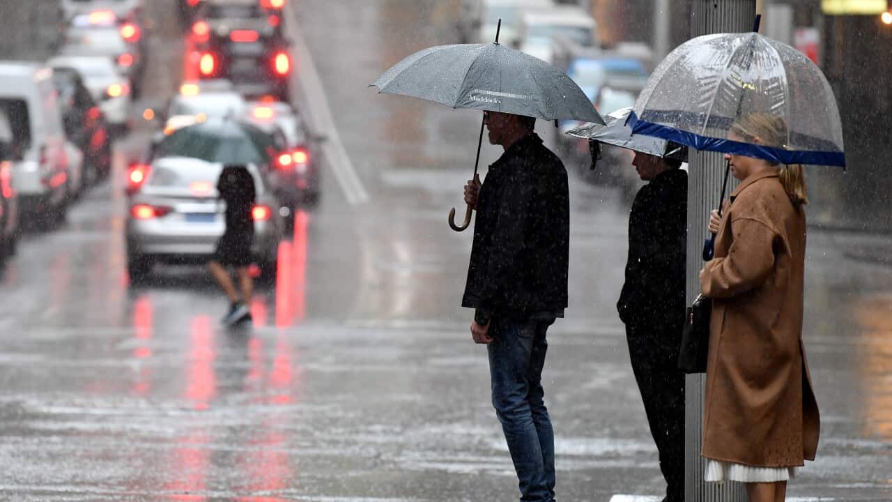 Image for read more article 'READ MORE'