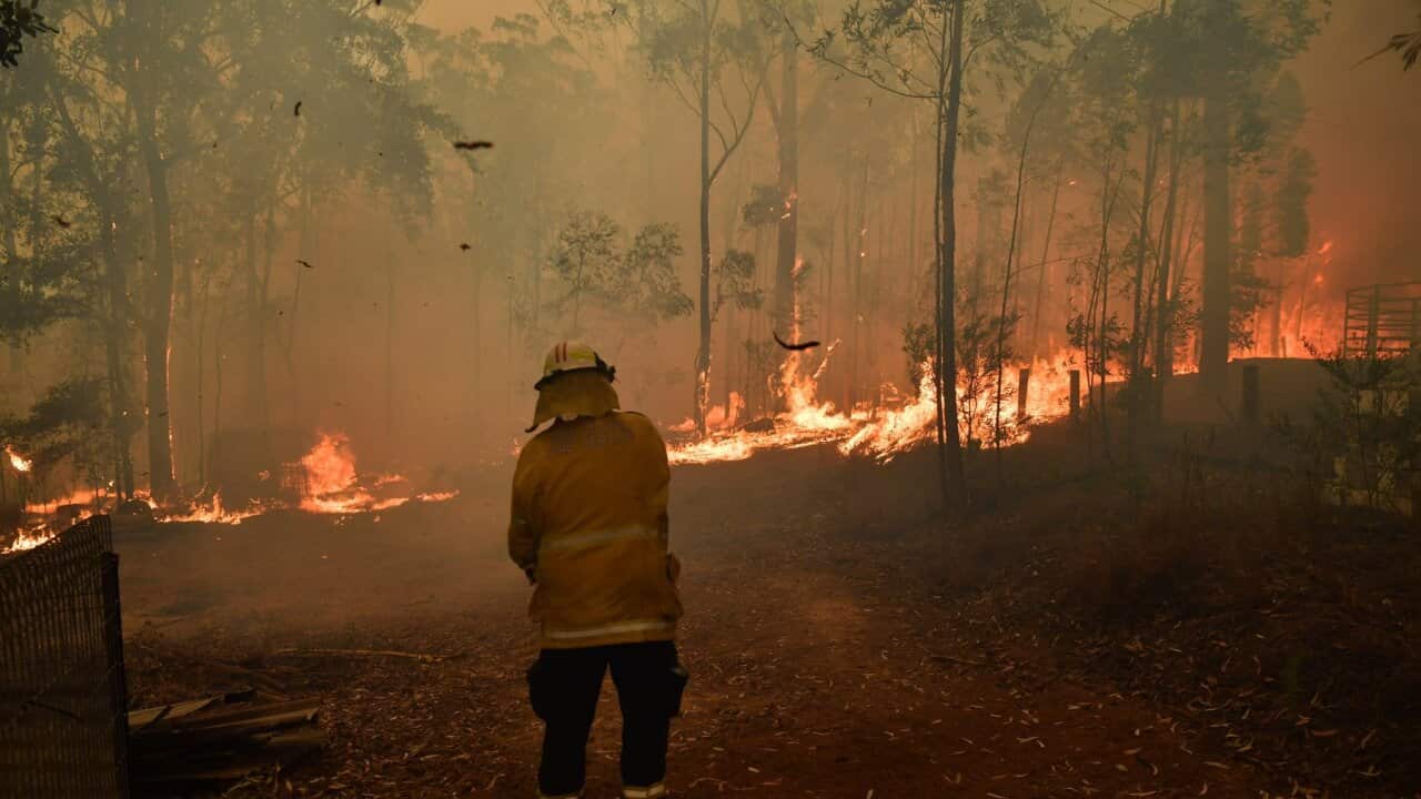 RFS volunteers and NSW Fire