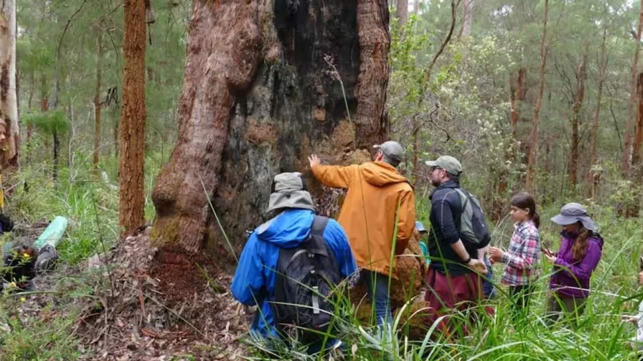What is a BioBlitz and how you can be involved to help science.jpg