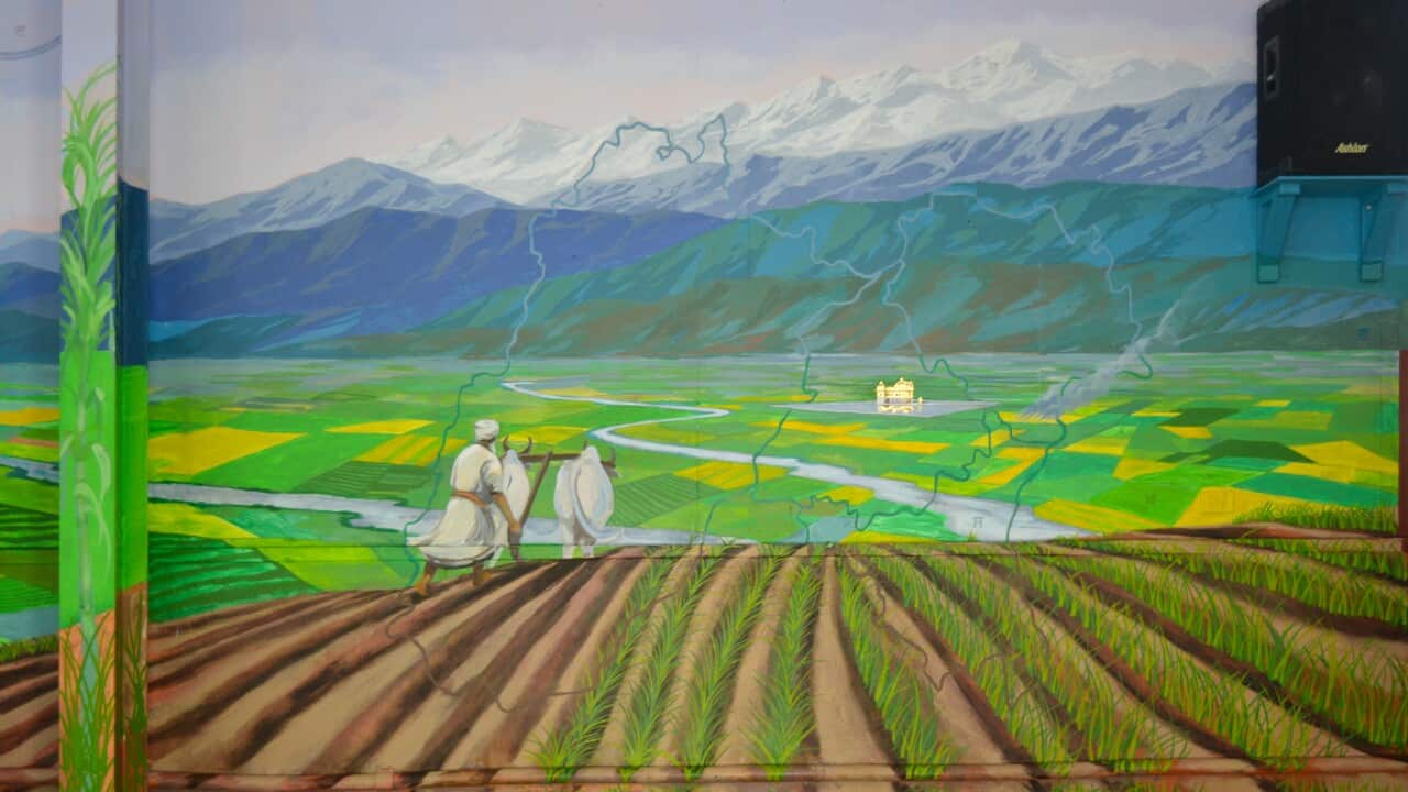 Image for read more article 'READ MORE'