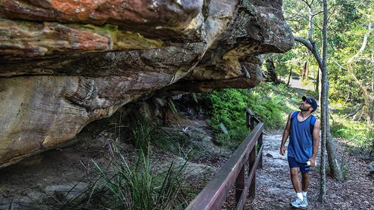 Aboriginal heritage walk kuring-gai chase national park (Getty)