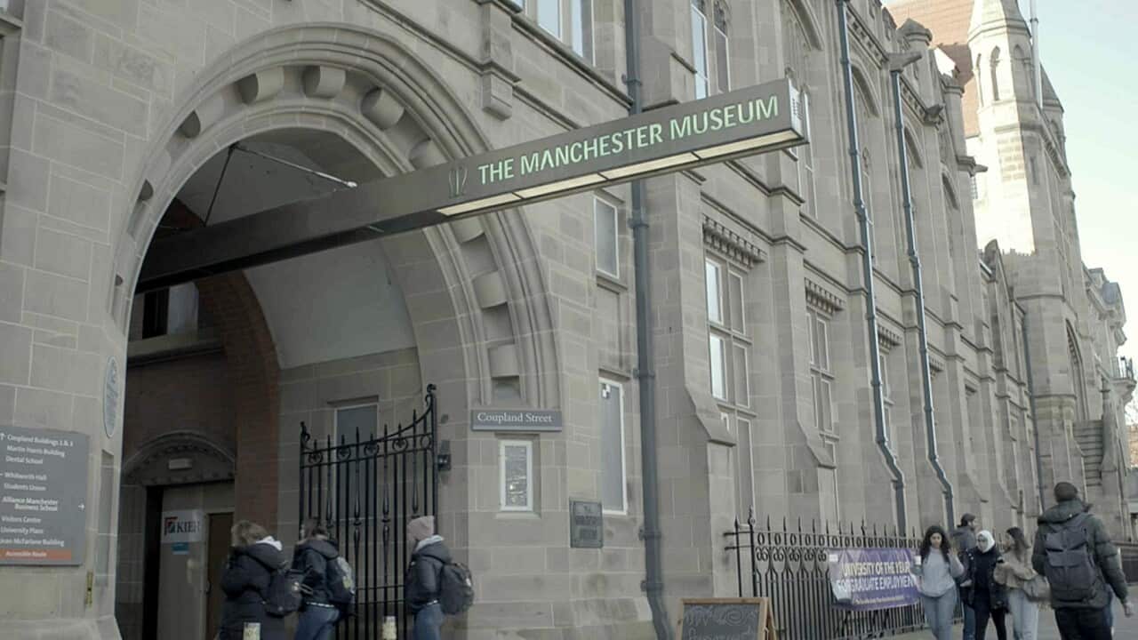 Manchester Museum in the UK