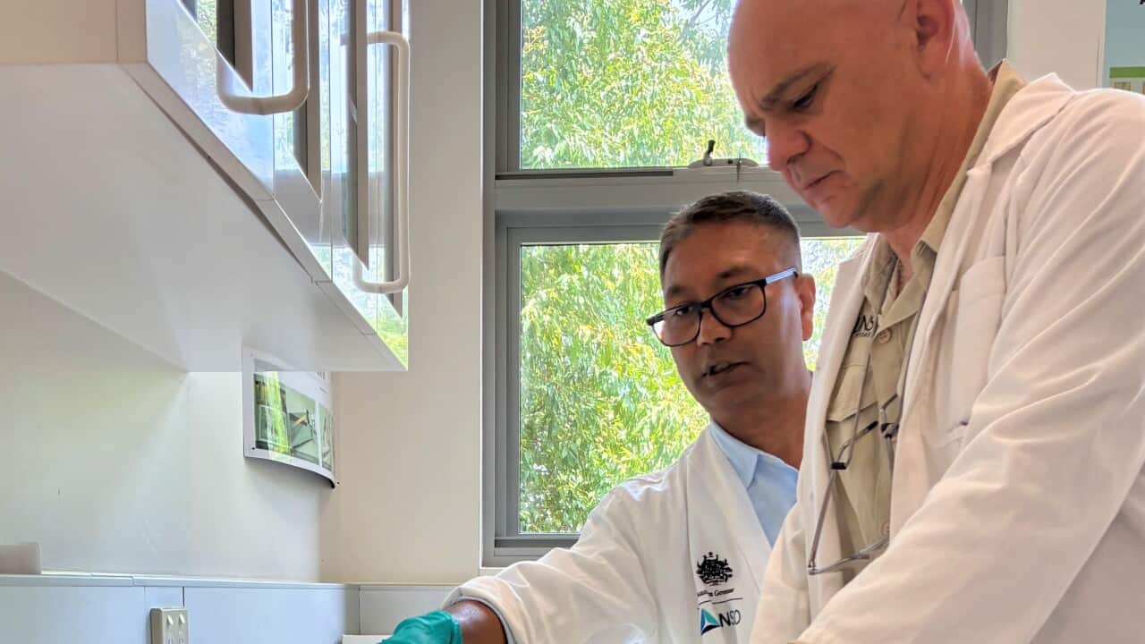 Two men in white lab coats lean over a long table displaying frozen whole fish.