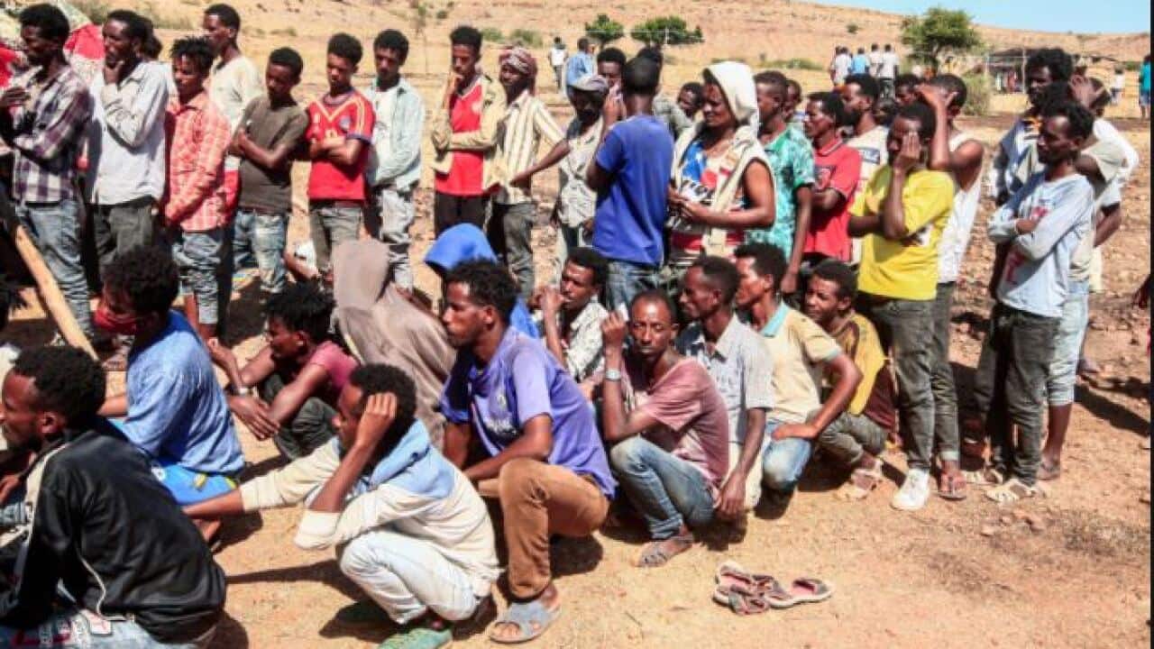 Horn of Africa News