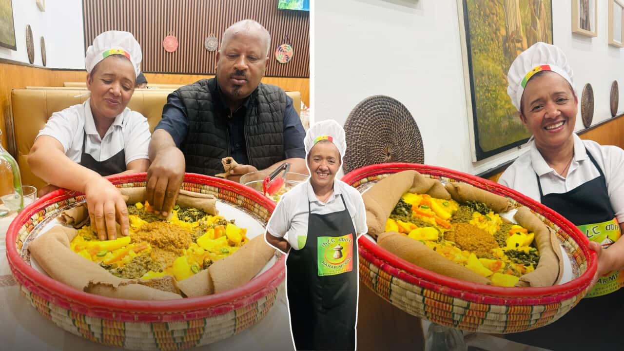 Copy of ALC Header Side-By-Side + Cutout.png